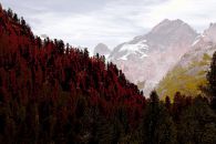 Hochlaender 1 Color Pigment Print 69,4x104cm